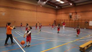 Clausura Pre-Benjamín Baloncesto 23/24 (1)