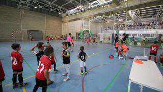 Clausura Pre-Benjamín Fútbol Sala 23-24 (2)