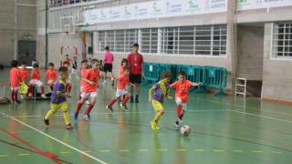 Clausura Pre-Benjamín Fútbol Sala 23-24 (4)