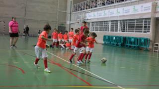 Clausura Pre-Benjamín Fútbol Sala 23-24 (4)