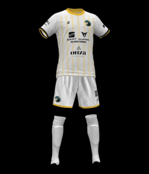 LOS VIBORAS FS - uniforme 2