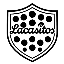 LACASITOS FS