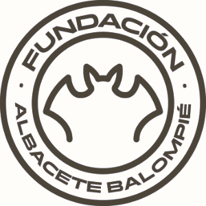 FUNDACION ABP AJUSA C