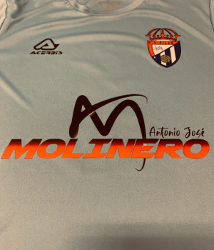 AV PILAR AUTOCARES MOLINERO - uniforme 1
